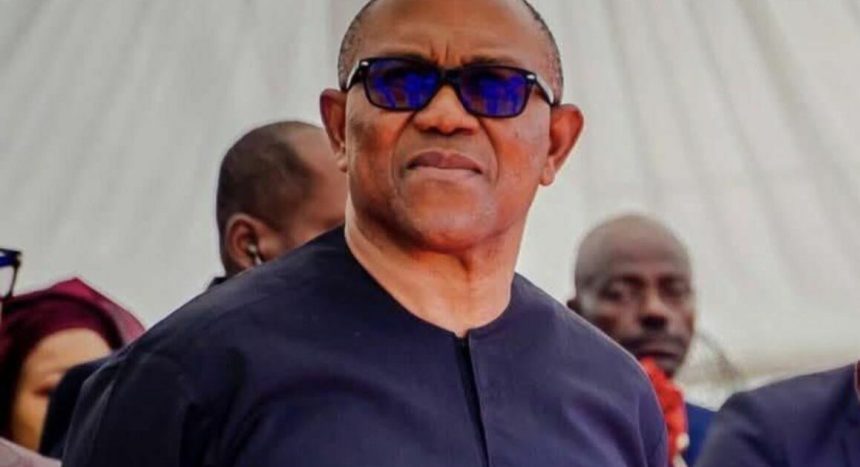 2027 Election: North Backs Peter Obi, Says Ex-IPAC Chair
