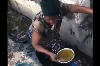 Scooping-groundnut-oil