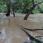 Osun-River1