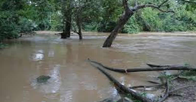 Osun-River1