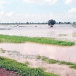 floods threaten Nigeria’s rice