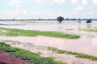 floods threaten Nigeria’s rice