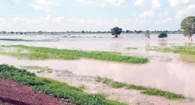 floods threaten Nigeria’s rice