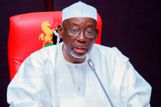 Jigawa Builds 132km Embankment to Combat Flooding