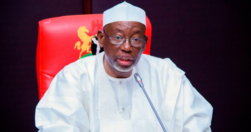 Jigawa Builds 132km Embankment to Combat Flooding