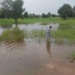 Flood