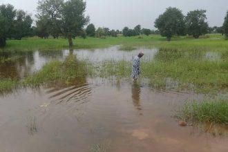Flood