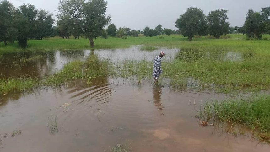 Flood