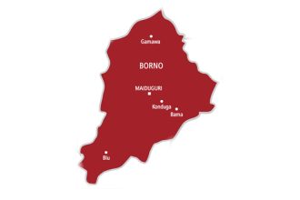 Map of Borno State