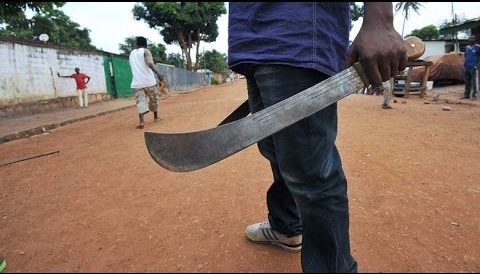 machete-cutlass