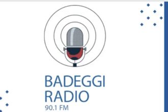 Badeggi radio