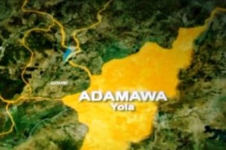 Adamawa State map