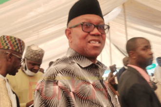 Peter Obi Self-Funded 2023 Campaign, Ex-LP Treasurer Reveals