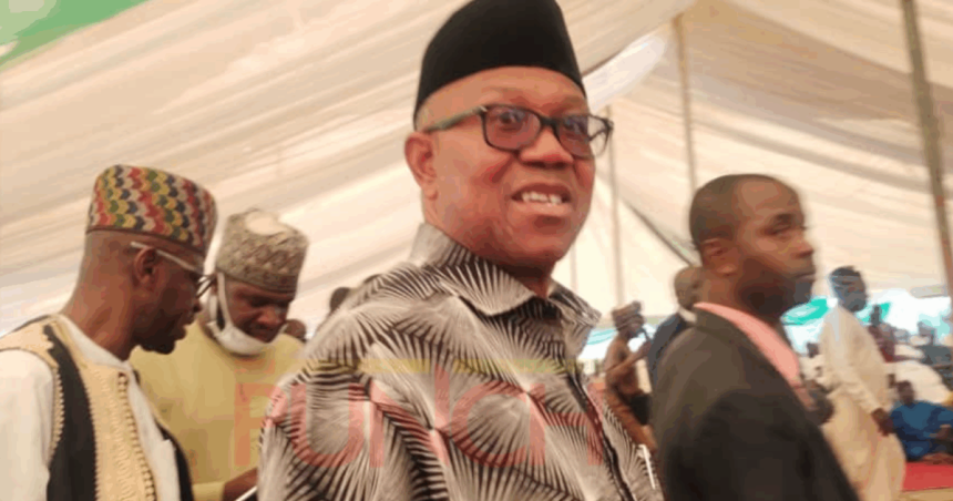 Peter Obi Self-Funded 2023 Campaign, Ex-LP Treasurer Reveals