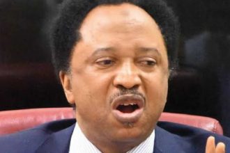 Shehu Sani Backs Inmate Voting Rights in Nigeria