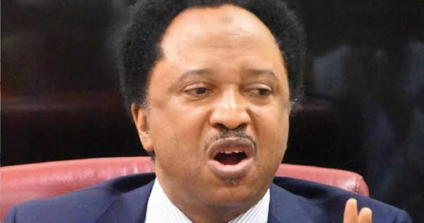 Shehu Sani Backs Inmate Voting Rights in Nigeria