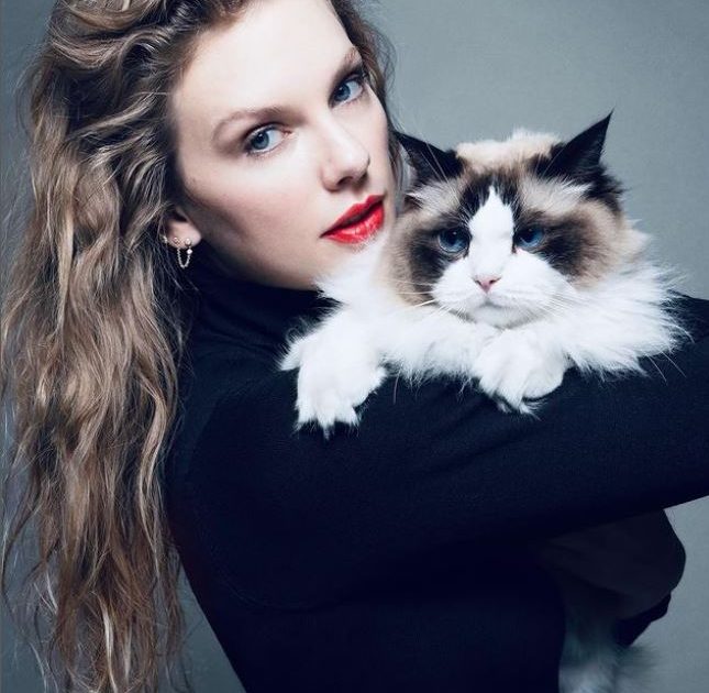 Taylor Swift Announces 12th Album, "The Life of a Showgirl"