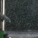 Typhoon Podul slams Taiwan, cuts power, thousands evacuated