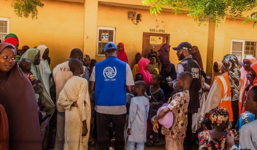 Yobe Flood Relief Efforts Underway in Potiskum