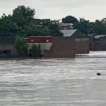 Yobe Floods Displace 612, Destroy 102 Homes