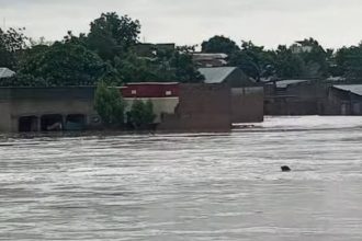Yobe Floods Displace 612, Destroy 102 Homes