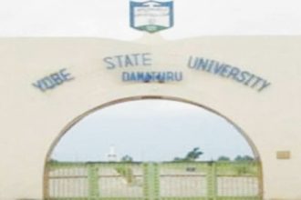 Yobe Governor Mourns Student Killed in Road Crash