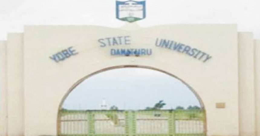 Yobe Governor Mourns Student Killed in Road Crash
