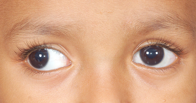 sight..
