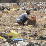 Africa Loses $200 Billion Yearly to Sanitation Crisis – Worl