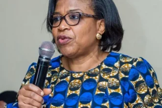 Debt Management Office Warns States on Borrowing, Urges PPPs