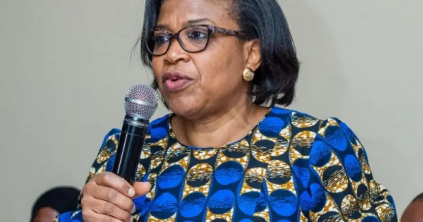 Debt Management Office Warns States on Borrowing, Urges PPPs