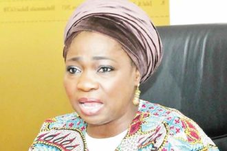 Diaspora Initiatives Praised: Dabiri-Erewa's Impact Celebrat