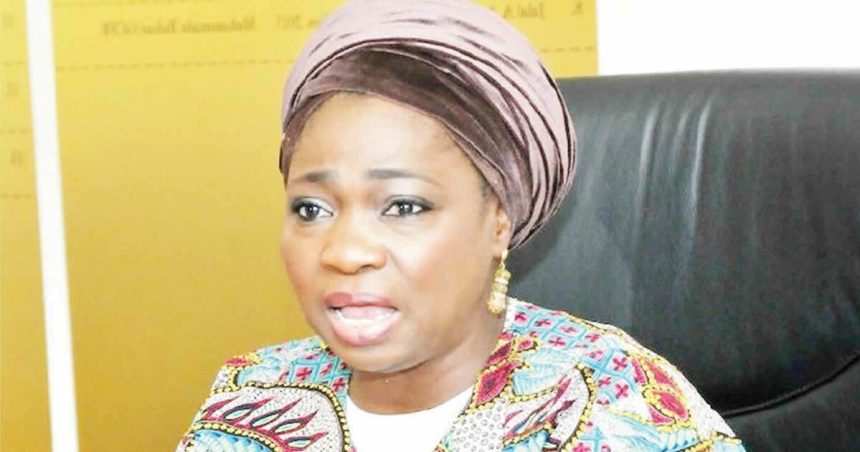 Diaspora Initiatives Praised: Dabiri-Erewa's Impact Celebrat