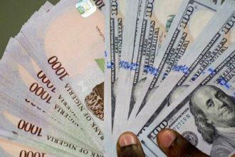 Naira and Dollar