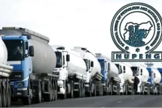 NUPENG-PTD-LOGO