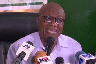 INEC Shortlists 14 Groups for Nigeria Party Registration