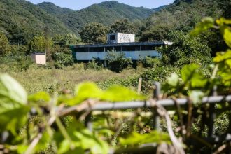 Korean Women Sue US Military Over Forced Prostitution