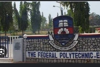 Ede Poly