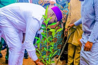 Nasarawa Launches Tree Planting Campaign to Combat Climate C
