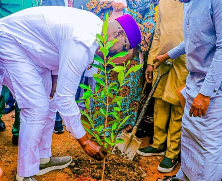 Nasarawa Launches Tree Planting Campaign to Combat Climate C