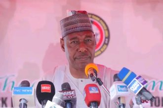 Borno State Governor, Babagana Zulum