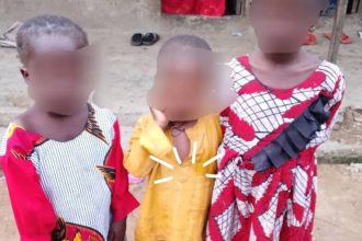 Police Foil Child Abduction Attempt in Nasarawa Market