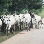 Herdsmen