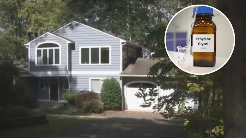 Yahoo news home