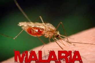 malaria