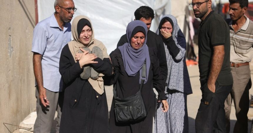 Turkey probes Israel's arrest of Turks on Gaza flotilla