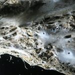 Giant Spider Web Found in Greek-Albanian Border Cave