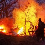 Iran Seeks Help as Forest Fire Engulfs UNESCO Site