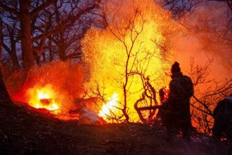 Iran Seeks Help as Forest Fire Engulfs UNESCO Site