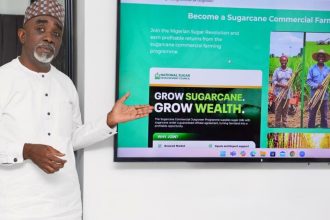 NSDC launches program to boost local sugar production